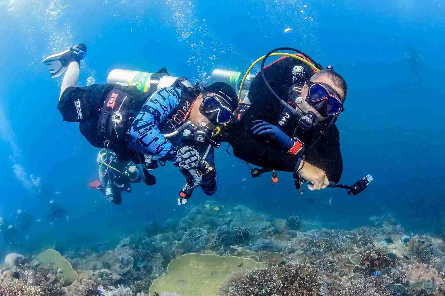 Diving di pulau komodo